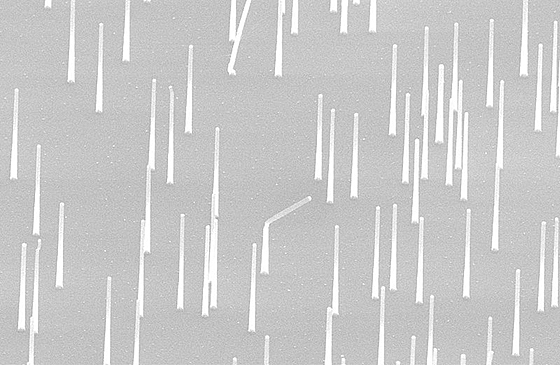 nanowires-560.jpg