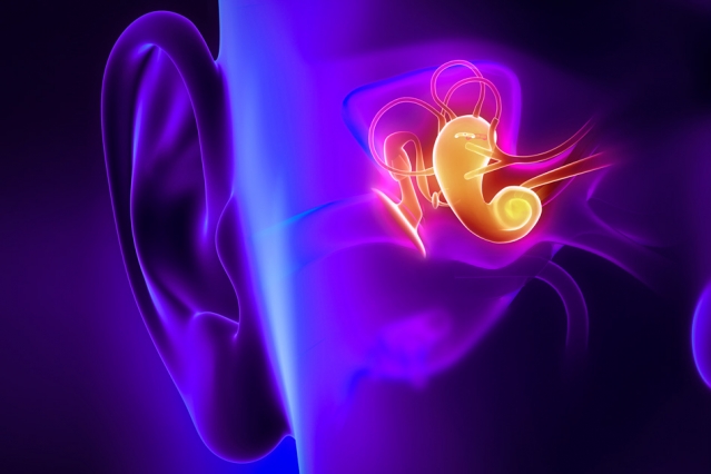 MIT-Ear-Imaging-1_0.jpg