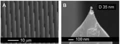 figure 1a,b