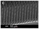 figure 1c